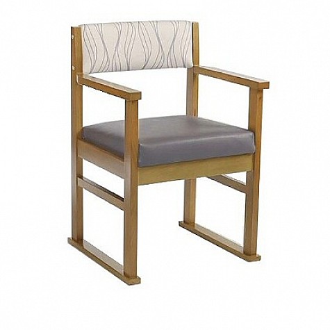 Apollo Care & Nursing Home Dining Chair with Skis