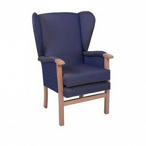Jubilee Care Home Wing Chair
